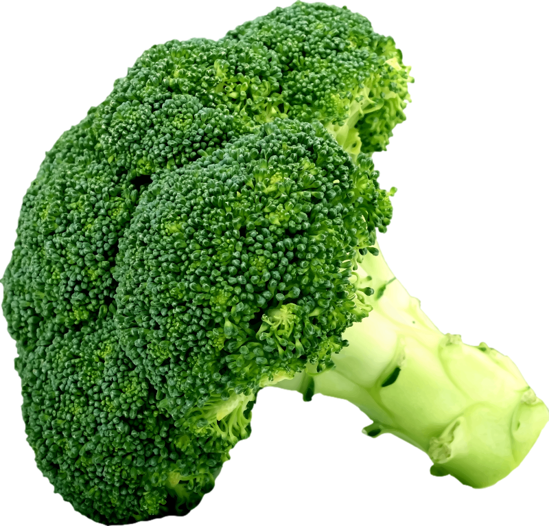 Broccoli, free Broccoli png, Broccoli png image, transparent Broccoli png image, Broccoli png full hd images download